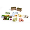 image:imageTabletop Strategy Game My First Kingdomino Fun Kids amp Adults Family Fantasy Board Game 24 Players Ages 5 Dragomino by Blue Orange GamesDragomino